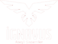 İgnavus Barbekü